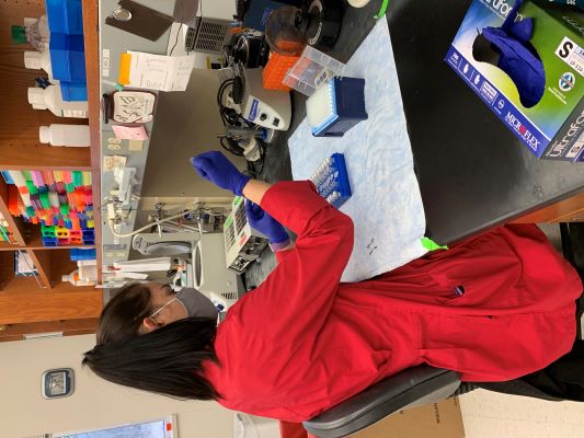 Researcher working at lab bench.