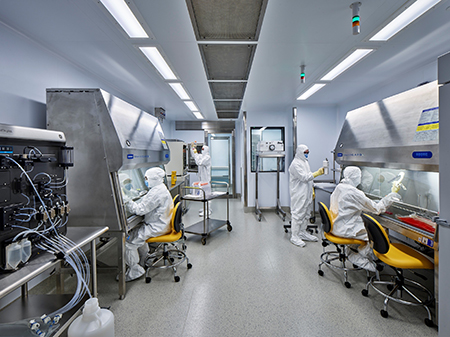 Manufacturing activities inside the aseptic cleanroom of the Clinical Vector Core.