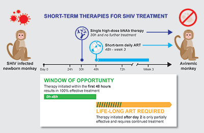 Flowchart for short-term therapies for shiv treatment.