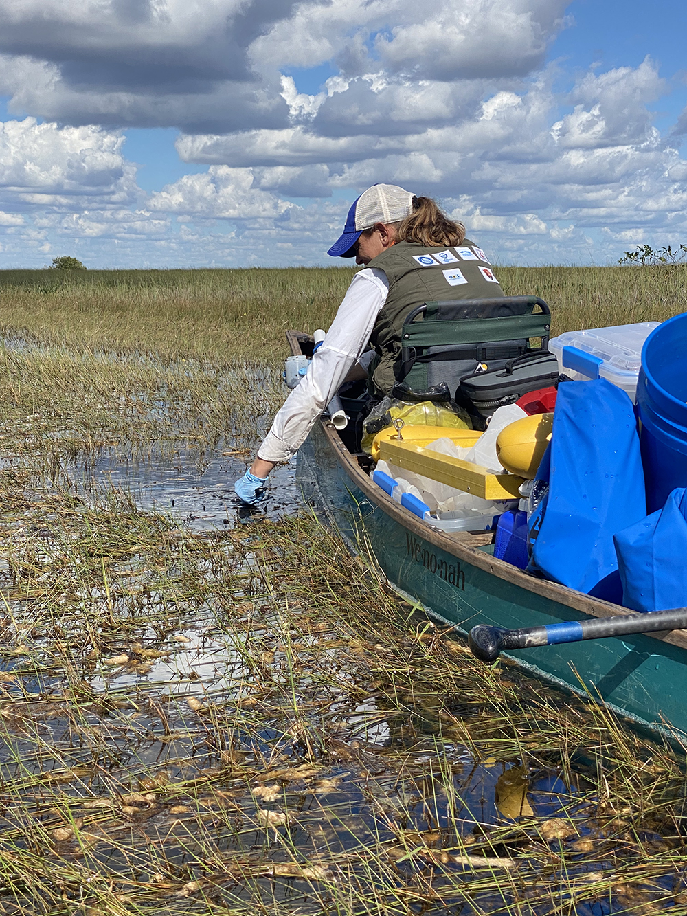 Dr. Baker samples the Everglades during the 2022 Willoughby Expedition to test for chemistry changes and pollutants. Photo courtesy of Willoughby Expedition.
