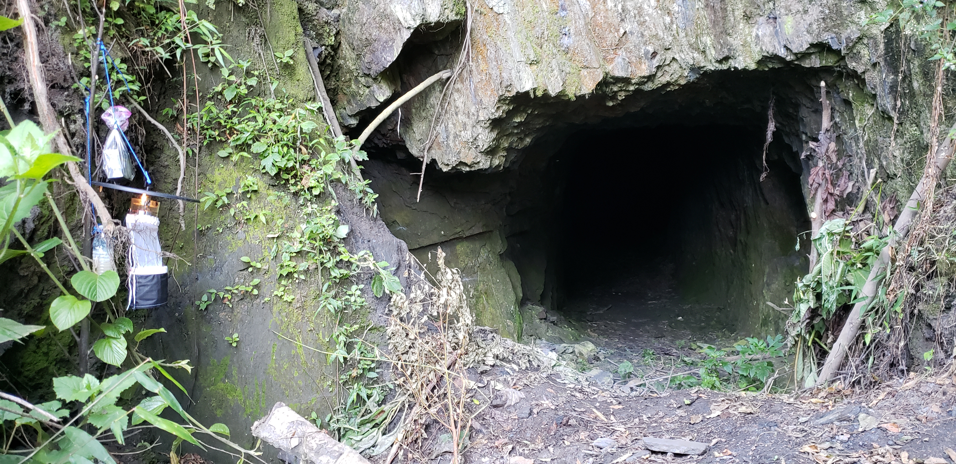  Mosquito site outside of an old mine.