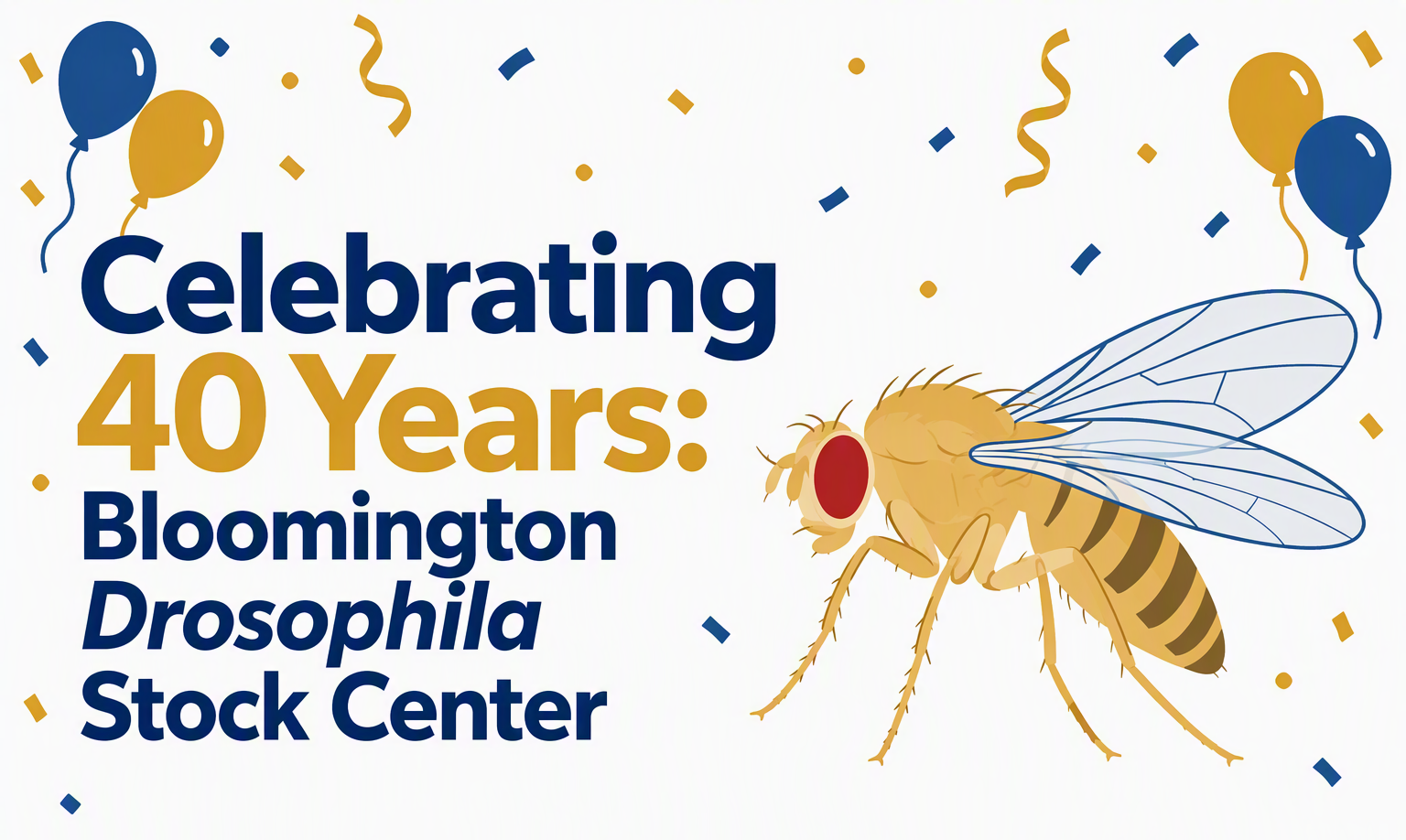 Celebrating 40 years: Bloomington Drosophila Stock Center