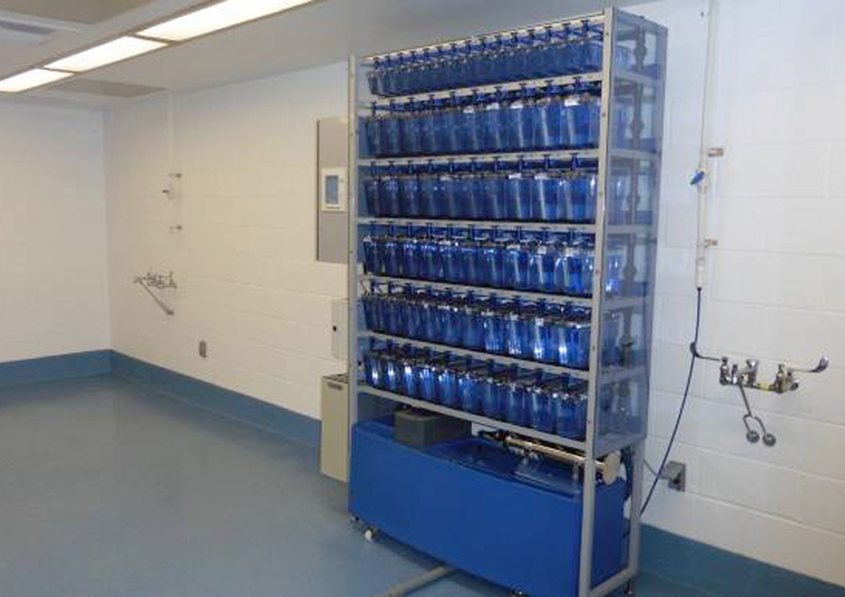 Photograph of numerous small aquariums placed on racks in an animal facility and used for housing zebrafish