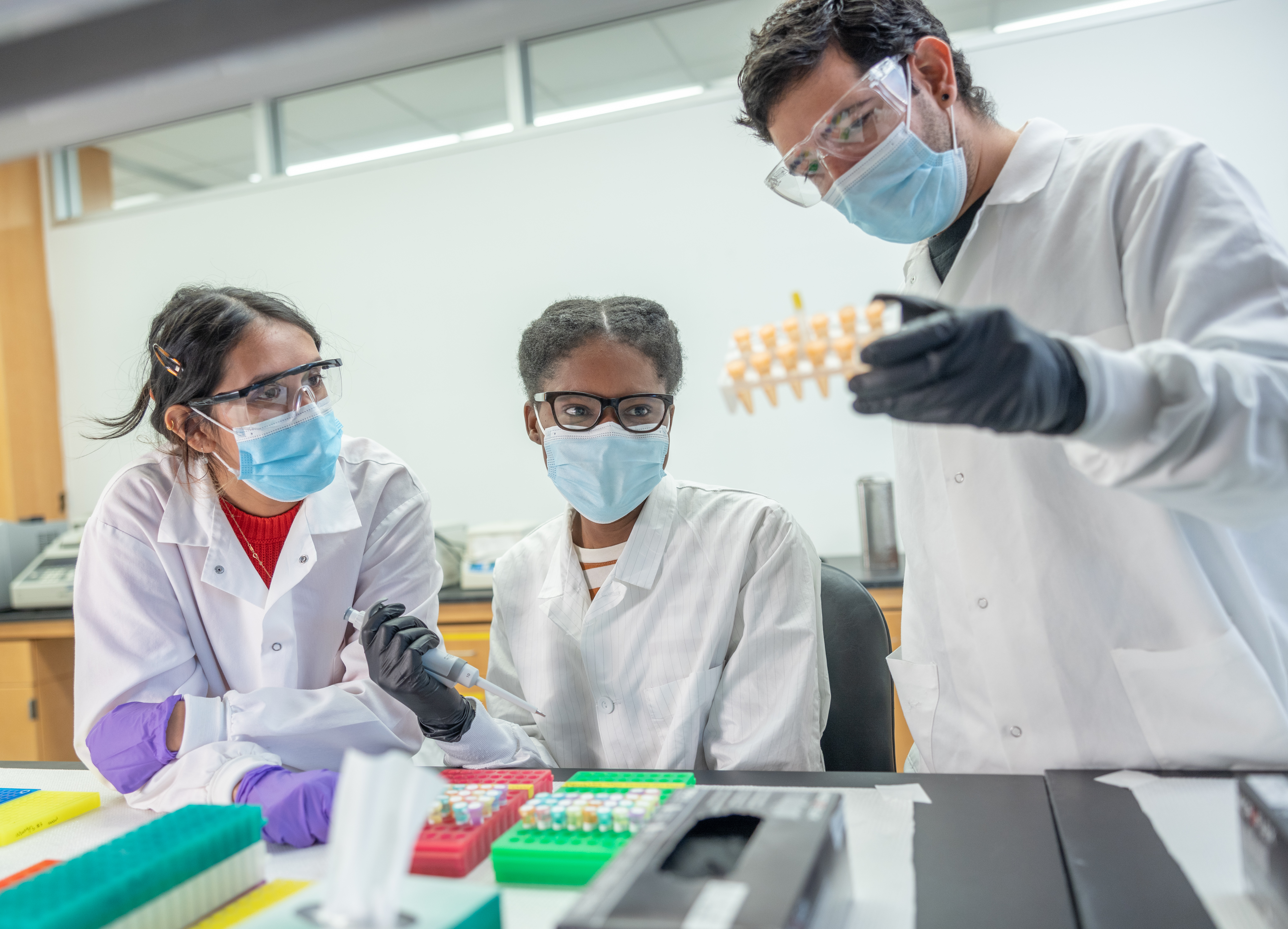 Undergraduate trainees in the laboratory of Dr. Fernando Pardo Manuel de Villena at The University of North Carolina at Chapel Hill process samples for analysis. 