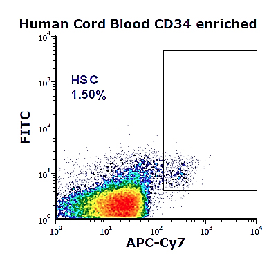 The sorting scheme of human HSCs from the laboratory of Dr. Snoeck. After a stepwise, multicolor cell staining process, HSCs were enriched and isolated from a cell population using combinations of fluorescent-labeled antibodies, FITC and APC-Cy7.