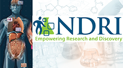 NDRI Logo