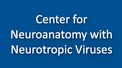 Center for Neuroanatomy with Neurotropic Viruses