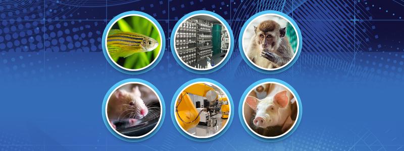 Images of laboratory animals and equipment