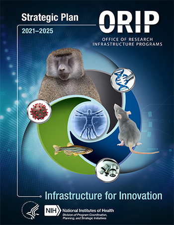 ORIP Strategic Plan 2021-2025 Cover