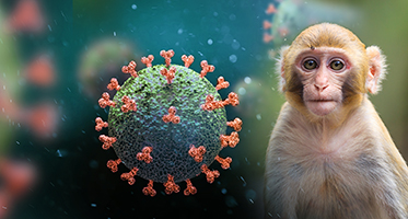 Animal Models and Resources for Coronavirus Research