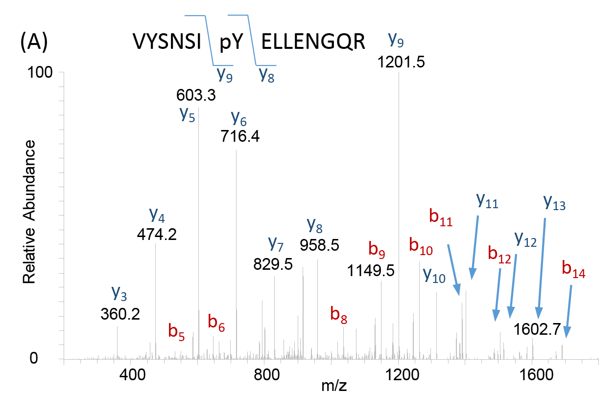 Graph of Lumos and Bruker mass spectrometers.