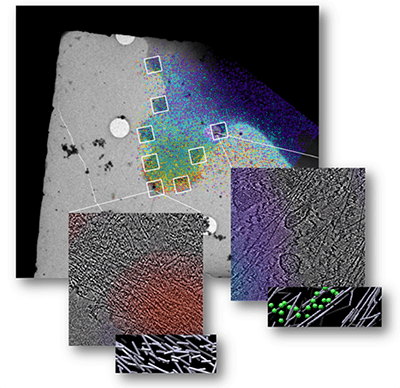 Biosensors showing Rac1 activation during live-cell imaging. When Rac1 activity is high (shown in red), an actin structure composed of densely packed, short actin filaments with little or no mutual alignment emerges.