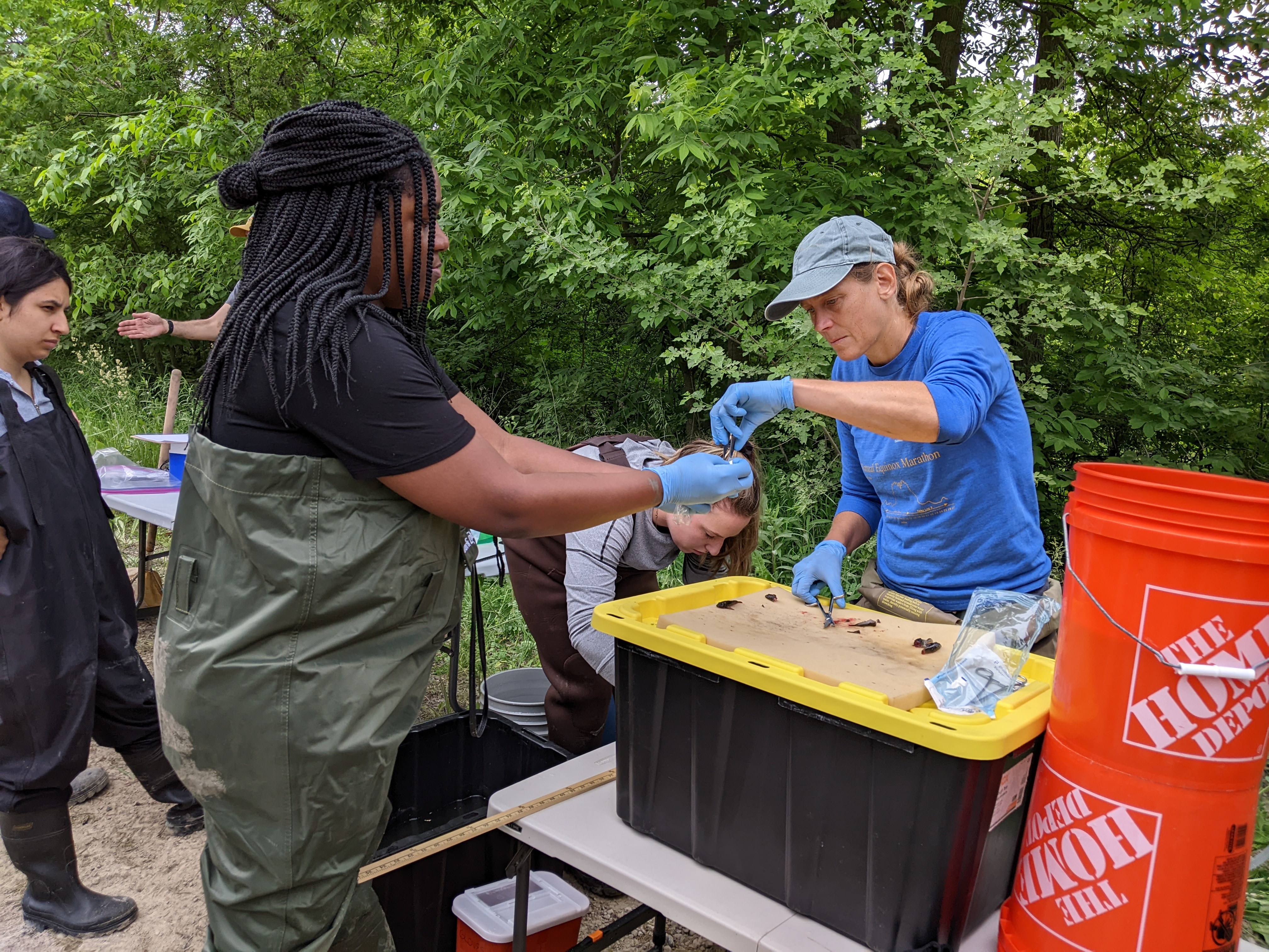 Dr. Baker, right, works in the field with colleagues and students to sample fish in the Detroit River. Photo courtesy of Healthy Urban Waters.