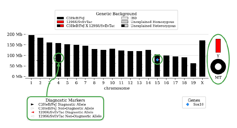Genetic Background graph