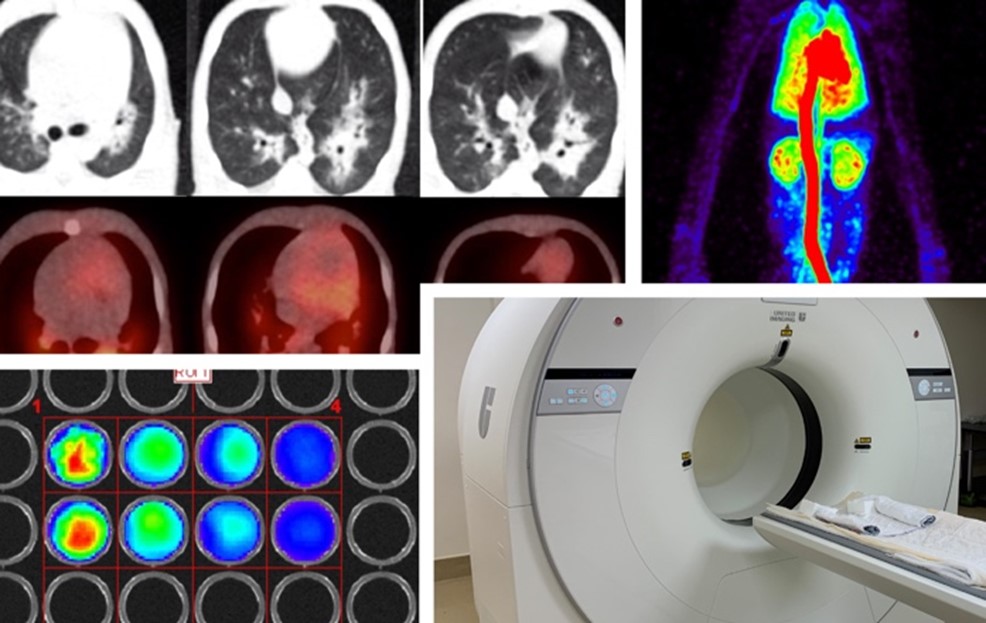 Uultrasound, bioluminescence, and total-body positron emission tomography/computed tomography images.