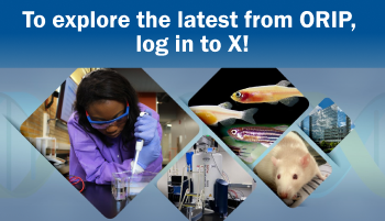 To explore the latest from ORIP, log in to X!