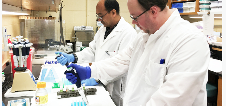 Wisconsin National Primate Research Center (WNPRC) assay services staff members Hemanta Shrestha, Ph.D., (left) and Cody James Corbett (right) perform enzyme-linked immunosorbent assays. Photo courtesy of Toni Ziegler, Ph.D., WNPRC.