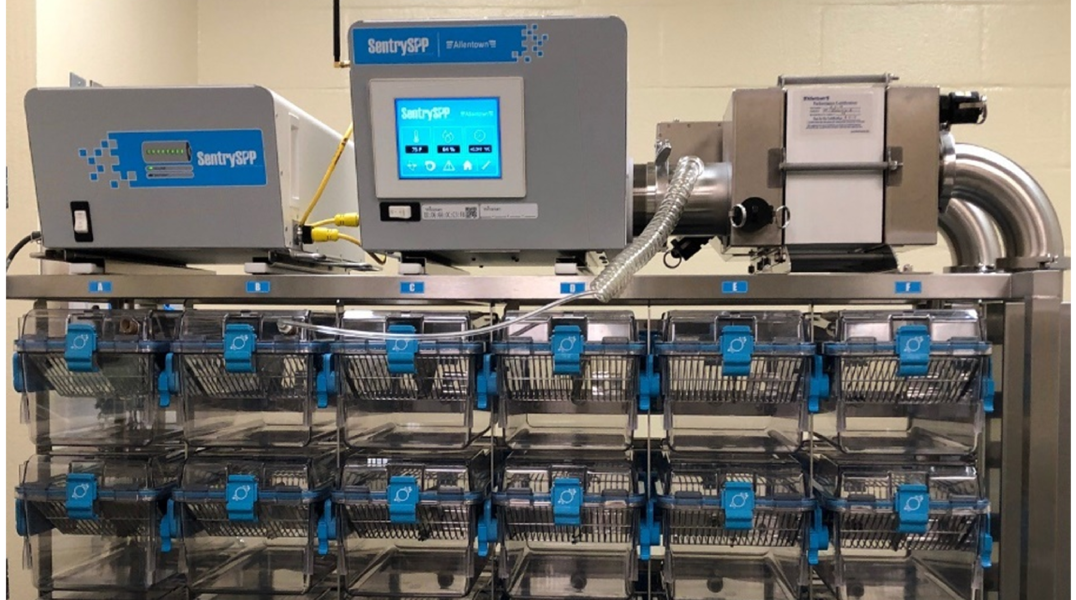 Germ-free breeding cages in a gnotobiotic mouse facility. 
