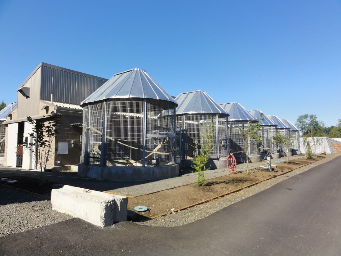 photograph of a row of outdoor enclosed exercise pens at a primate facility