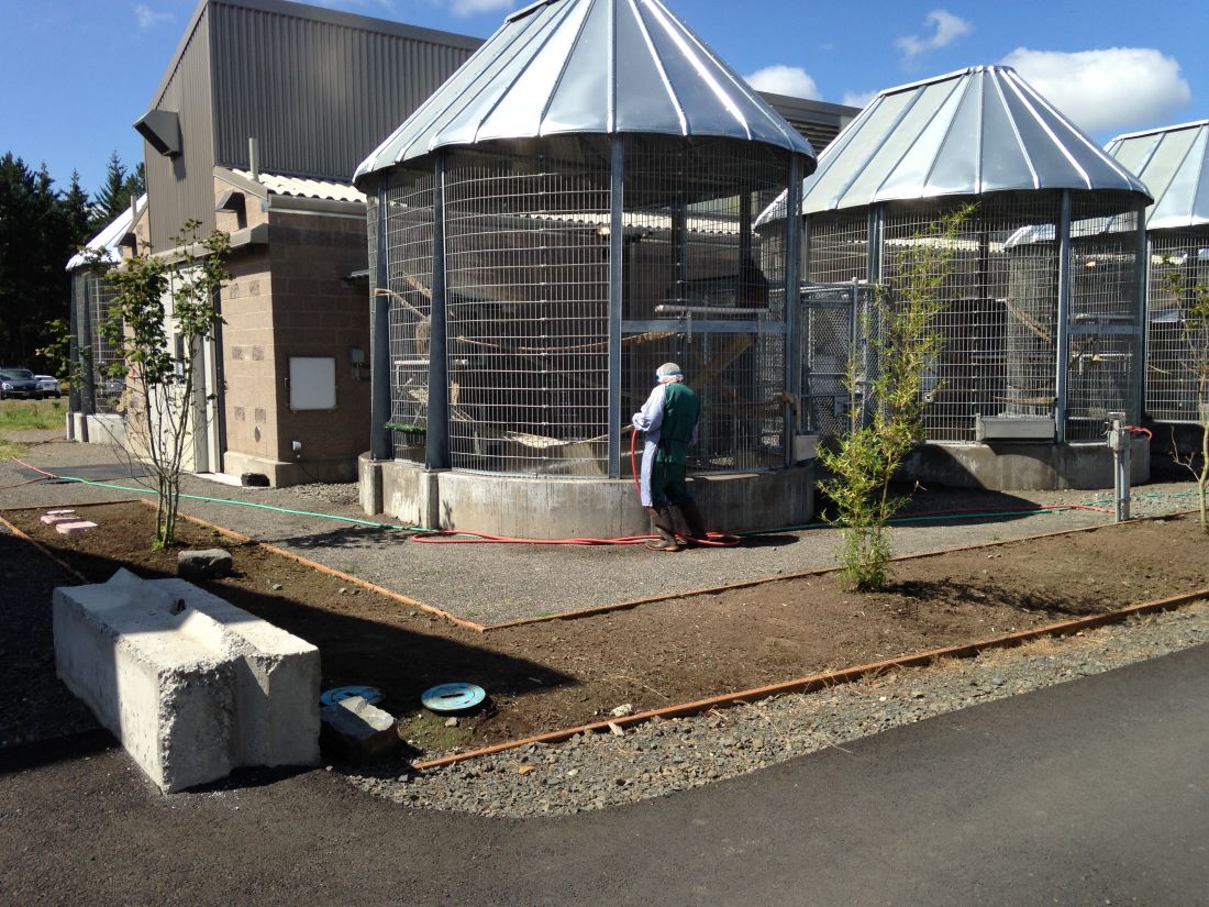 Outdoor enclosed exercise pens at a primate facility