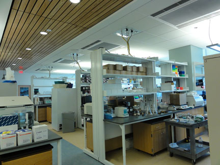 Facility / Lab