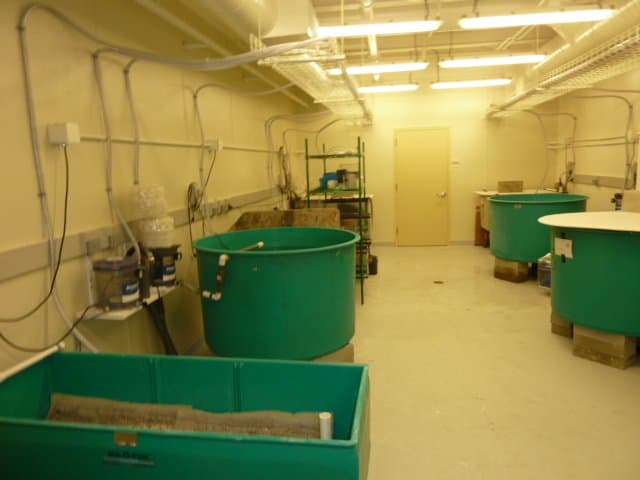 Facility / Lab